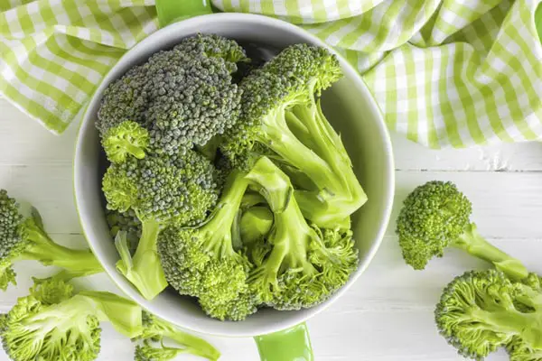 Broccoli For Dogs: Healthy Snack or Dangerous Toxin?