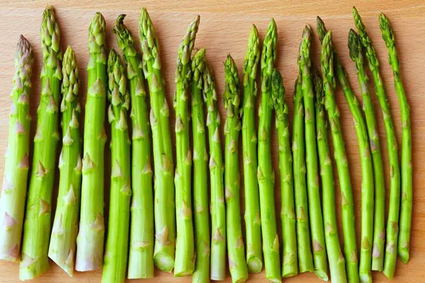 Healthy Eating for Your Dog: Can Dogs Eat Asparagus?