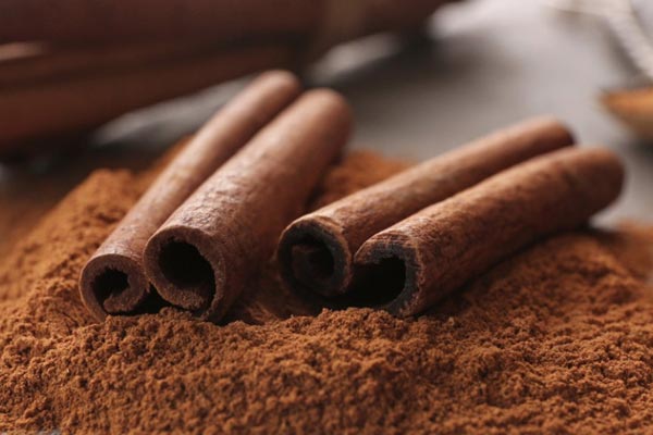 Cinnamon is Safe for Humans AND Dogs?
