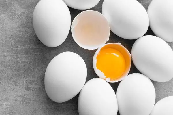 Can Dogs Eat Eggs?(raw, Boiled or Scrambled). Doctors Explain