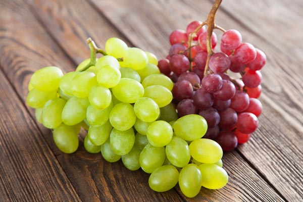 Can Dogs Eat Grapes? A Guide