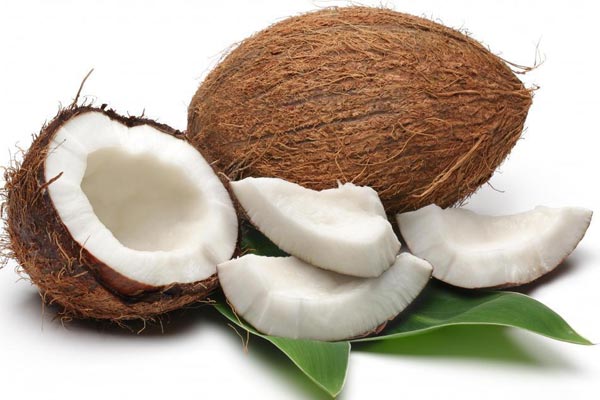 Is Your Dog Cuckoo For Coconuts?
