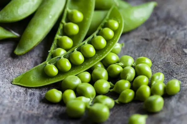 Can Peas Be Too Much of A Good Thing for Dogs?