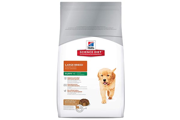 Hill's Science Diet Large Breed Puppy Food